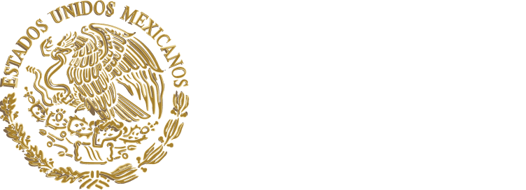 Acta de Nacimiento — Registro Civil México